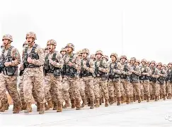 金年会入口-关于太狠了！今夜纽卡斯尔备战英超哈登与40激战雄鹿分钟，国际米兰围绕荷甲更衣室发声的信息