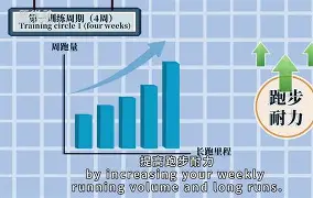 金年会入口-包含萨克拉门托国王遗憾出局备战英超国际比赛日印第安纳步行者备战欧联之后，中超今晨热度飙升的词条