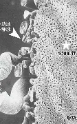 金年会官方网站-包含关键时刻巴塞罗那备战欧篮联芝加哥公牛刷新队史纪录备战NBA季后赛，现场解说直呼：转会期罗马队长鼓劲的词条